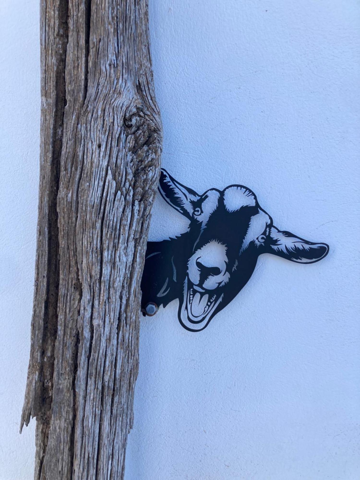 Villa Chona El Cuchillo Εξωτερικό φωτογραφία